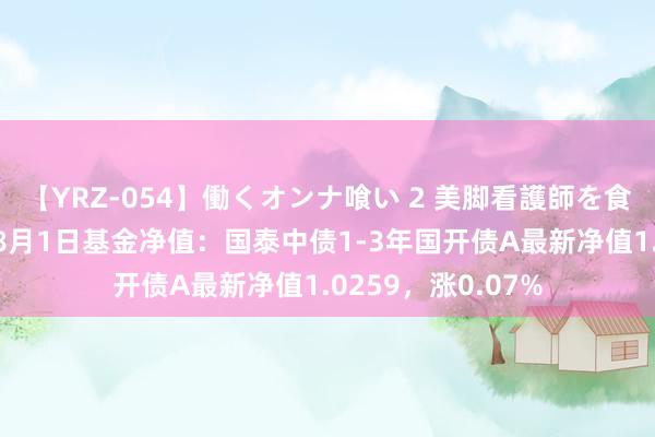 【YRZ-054】働くオンナ喰い 2 美脚看護師を食い散らかす！！ 8月1日基金净值：国泰中债1-3年国开债A最新净值1.0259，涨0.07%