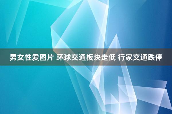 男女性爱图片 环球交通板块走低 行家交通跌停