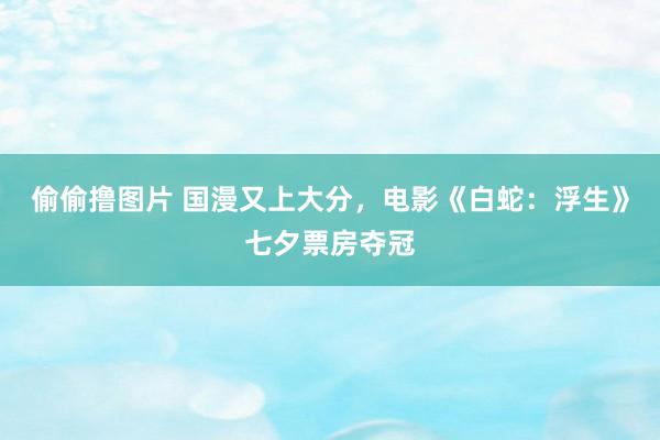 偷偷撸图片 国漫又上大分，电影《白蛇：浮生》七夕票房夺冠