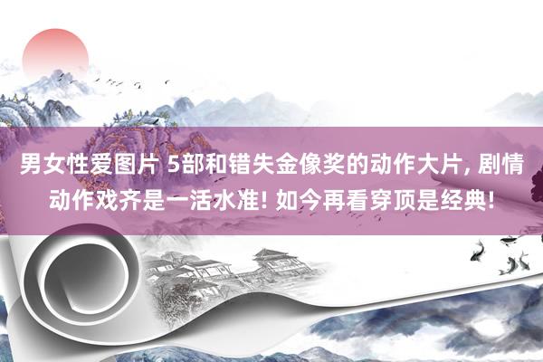 男女性爱图片 5部和错失金像奖的动作大片, 剧情动作戏齐是一