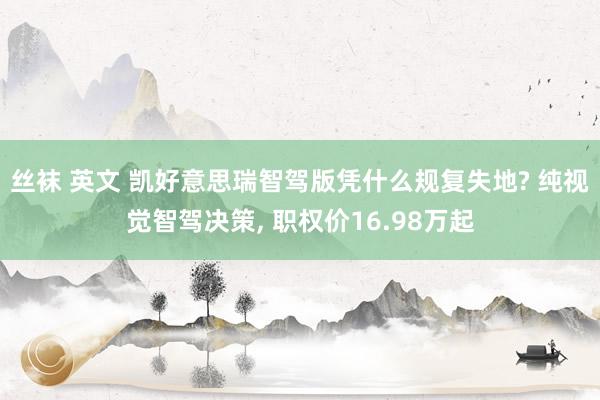 丝袜 英文 凯好意思瑞智驾版凭什么规复失地? 纯视觉智驾决策