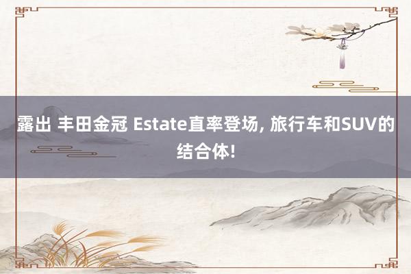 露出 丰田金冠 Estate直率登场， 旅行车和SUV的结合体!