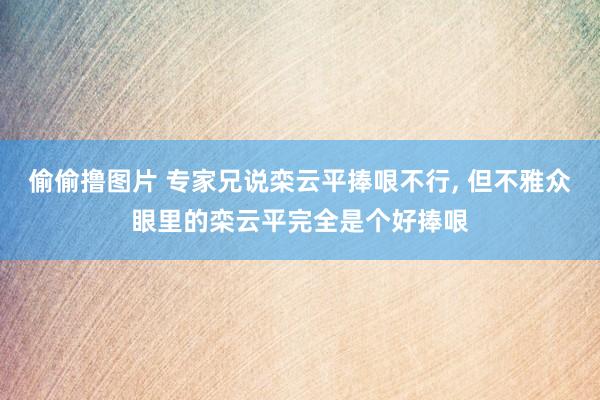 偷偷撸图片 专家兄说栾云平捧哏不行, 但不雅众眼里的栾云平完