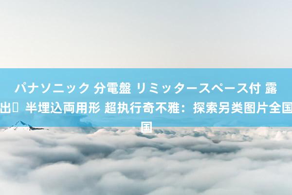 パナソニック 分電盤 リミッタースペース付 露出・半埋込両用