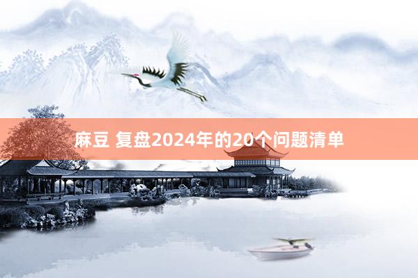 麻豆 复盘2024年的20个问题清单