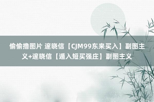 偷偷撸图片 邃晓信【CJM99东来买入】副图主义+邃晓信【遁