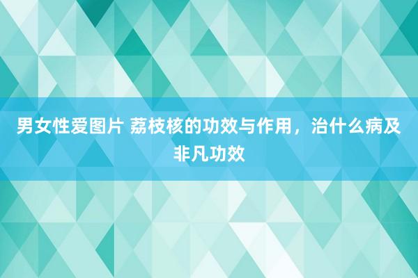 男女性爱图片 荔枝核的功效与作用，治什么病及非凡功效