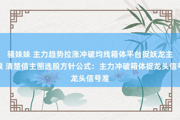 骚妹妹 主力趋势拉涨冲破均线箱体平台捉妖龙主升浪 清楚信主图选股方针公式：主力冲破箱体捉龙头信号准