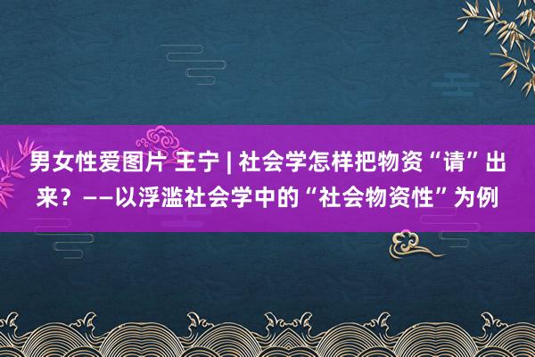 男女性爱图片 王宁 | 社会学怎样把物资“请”出来？——以浮