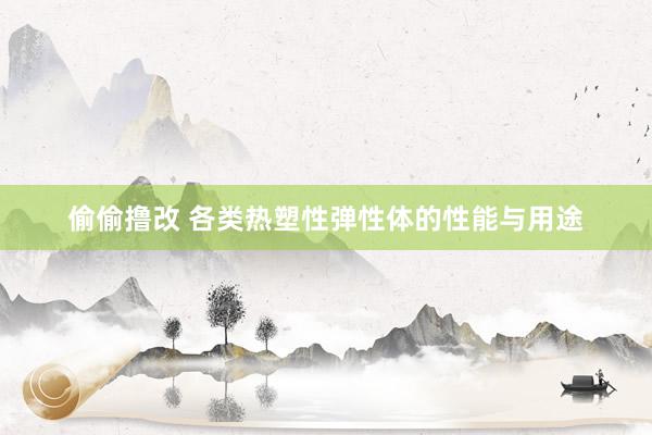 偷偷撸改 各类热塑性弹性体的性能与用途