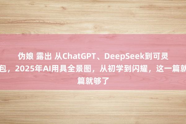 伪娘 露出 从ChatGPT、DeepSeek到可灵、豆包，2025年AI用具全景图，从初学到闪耀，这一篇就够了