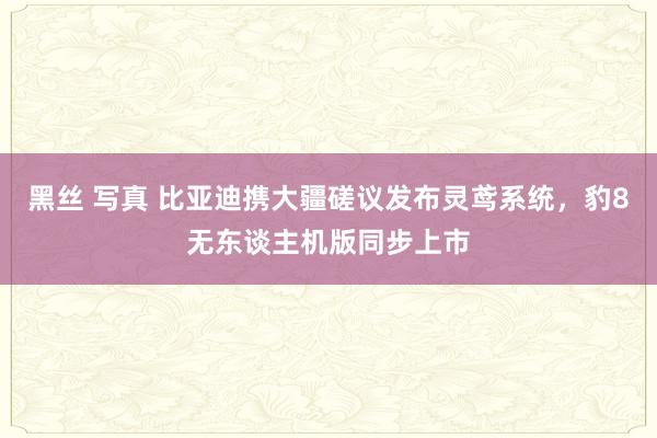 黑丝 写真 比亚迪携大疆磋议发布灵鸢系统，豹8无东谈主机版同