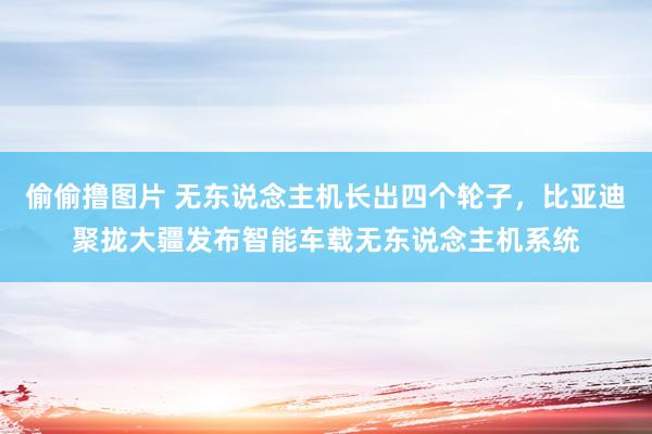 偷偷撸图片 无东说念主机长出四个轮子，比亚迪聚拢大疆发布智能